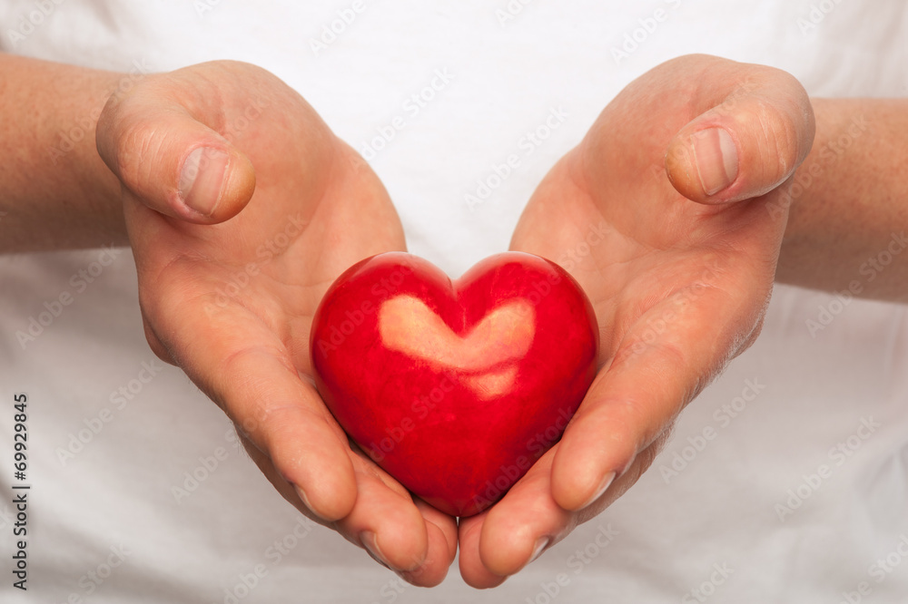 Heart in hands Heart in hands