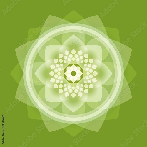 buddha,lotus,wheel of life,intuit
