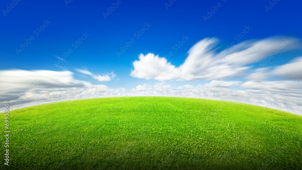 Fototapeta premium Field of green grass and sky
