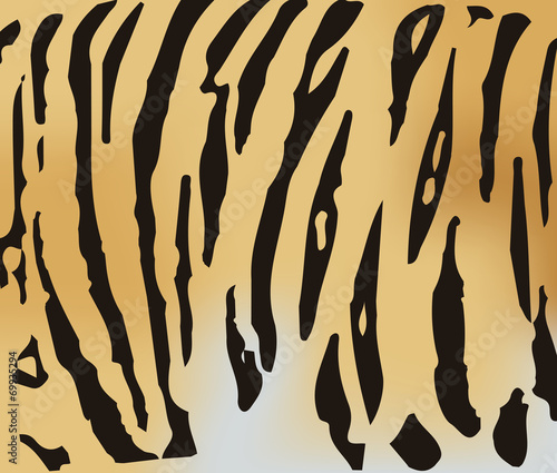 Tiger fur texture
