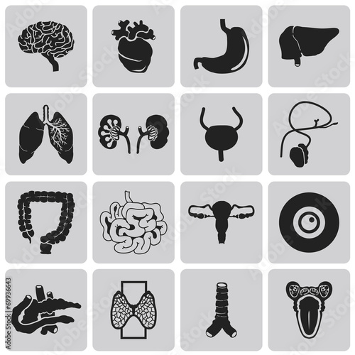 Vector Black icons of internal human organs Flat design set1. Ve