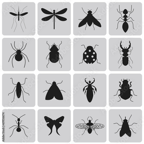 Exterminator Insects black icon set1. Vector Illustration eps10 © Soulsisz