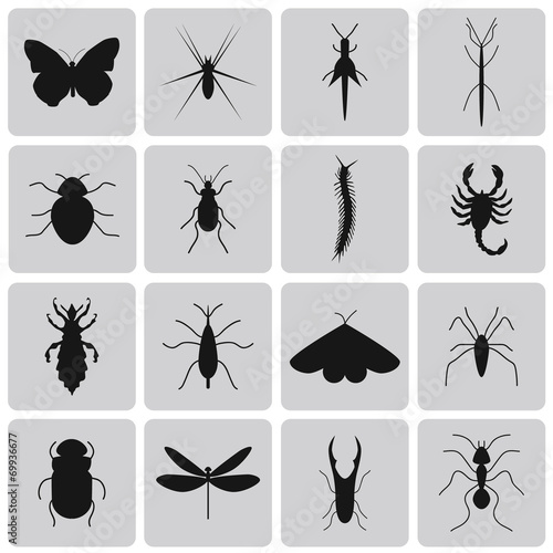 Exterminator Insects black icon set2. Vector Illustration eps10 © Soulsisz