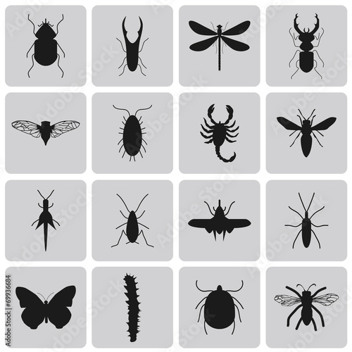 Exterminator Insects black icon set3. Vector Illustration eps10 © Soulsisz