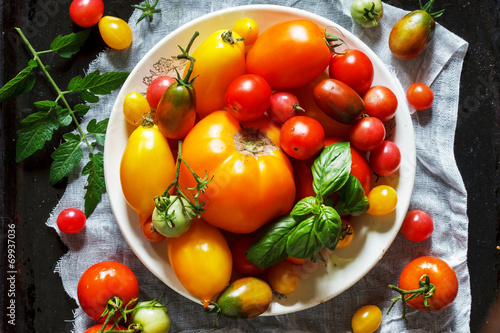 colorful tomatoes