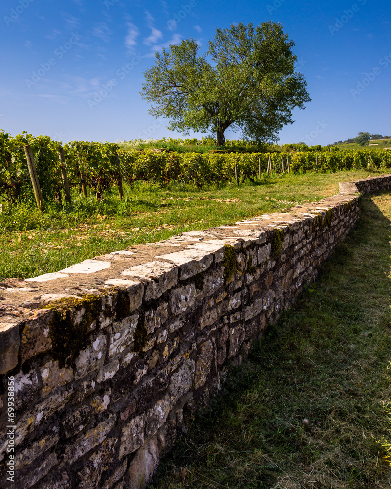 belle Bourgogne