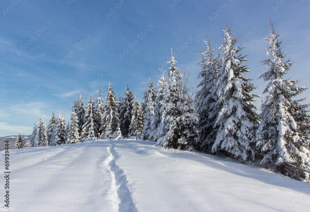Winter in mountains Carpathians, Winter in mountains Carpathians,