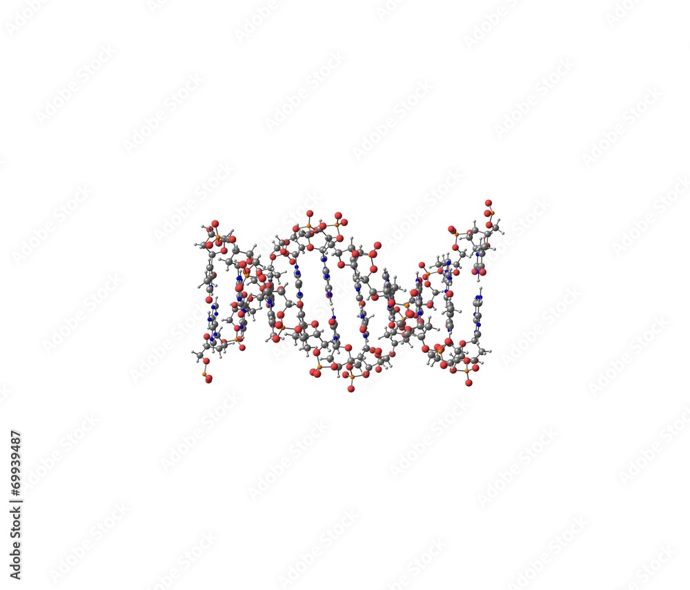 DNA helix molecule isolated on white DNA helix molecule isolated on white