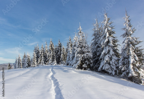 Winter in mountains Carpathians,