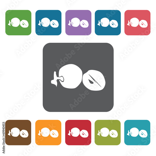 Lansones sign icon symbol set. Tropical fruits set. Rectangle co