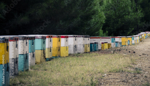 Beehouses at mountain © Adeus Buhai
