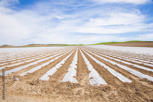 field plastic stripped
