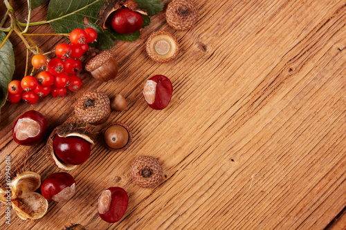 chestnuts autumn frame background