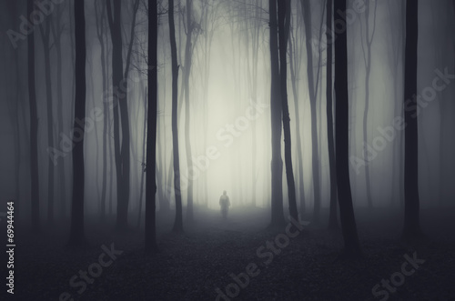 spooky forest scene with ghost on a path