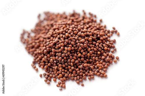 Small indian basil seed