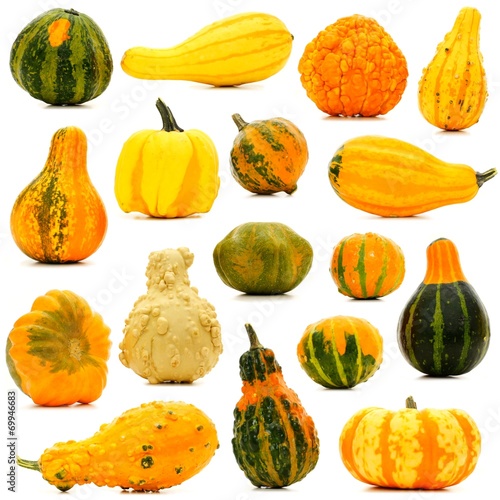 Large group of unique isolated autumn gourds photo