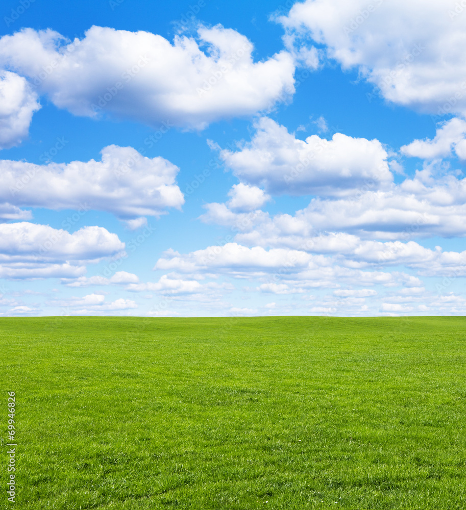 Wiese und Himmel Wiese und Himmel
