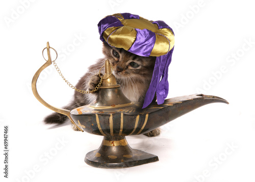 Fototapeta Naklejka Na Ścianę i Meble -  Lucky wish