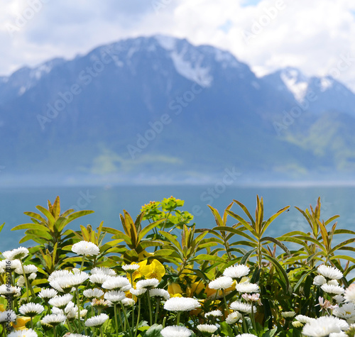 Flowers against mountains and lake Geneva. Montreux. Switzerland