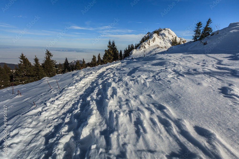 Postavaru Mountains in winter, Romania Postavaru Mountains in winter, Romania