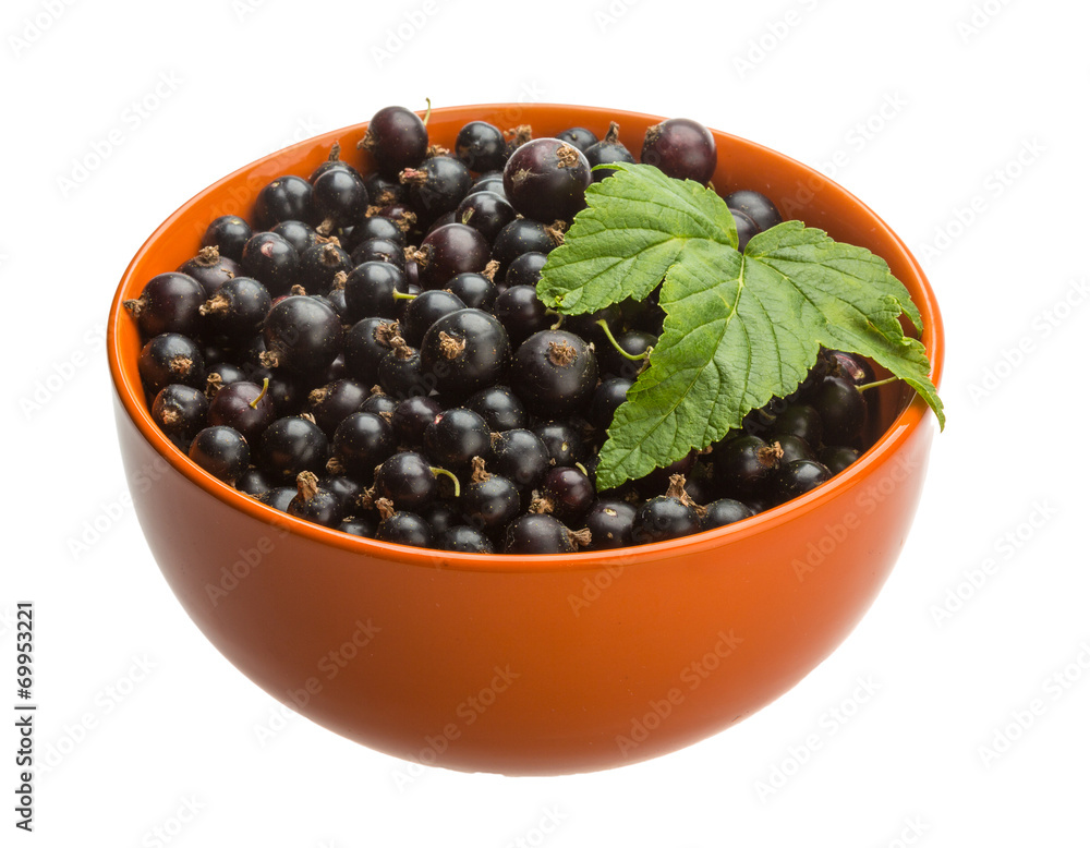 Black currant Black currant