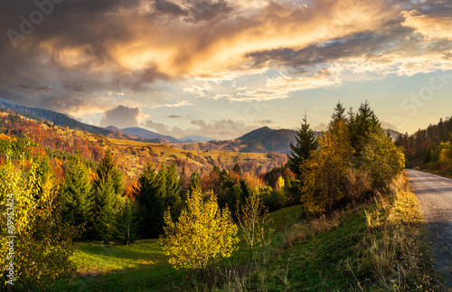 coniferous forest on a mountain slope at sunset