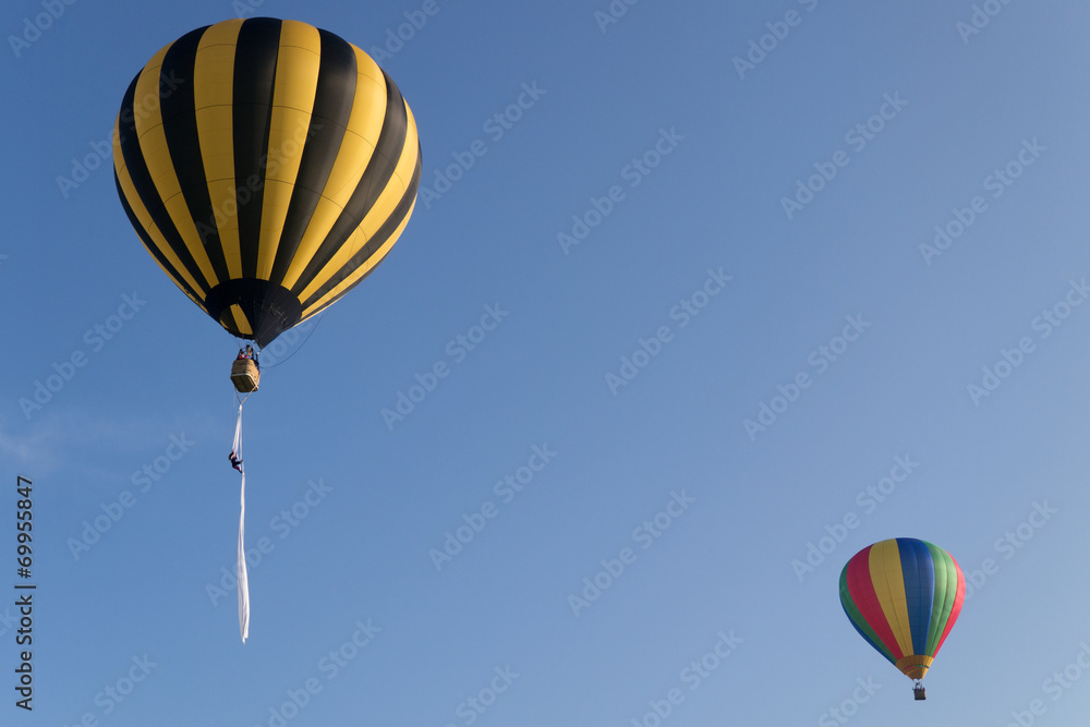 Obraz premium Montgolfiere #87