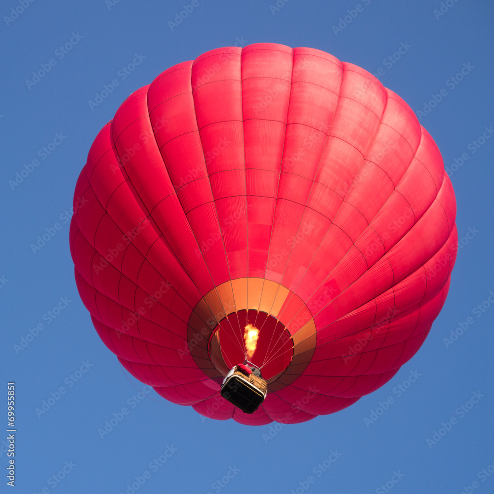 Obraz premium Montgolfiere #88