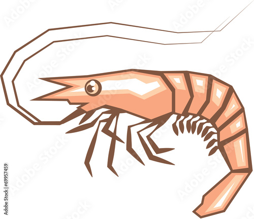 Stylized shrimp
