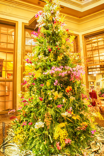 botanical christmas tree © digidreamgrafix