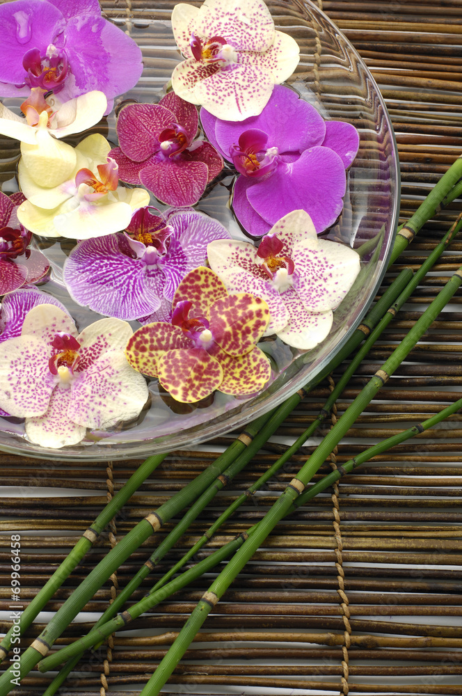 spa concept with orchid in a bowl and thin bamboo