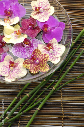 spa concept with orchid in a bowl and thin bamboo