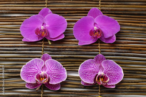 Spa composition of beautiful pink orchid