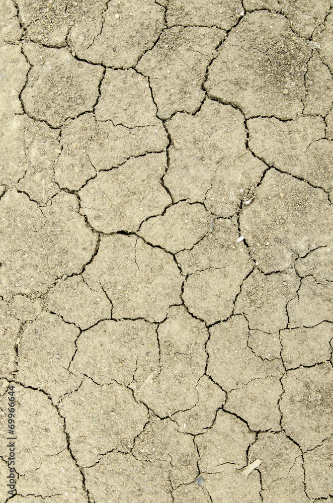 Drought, the ground cracks, no hot water, lack of moisture. Drought, the ground cracks, no hot water, lack of moisture.