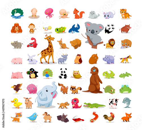 Animals and birds so cute set
