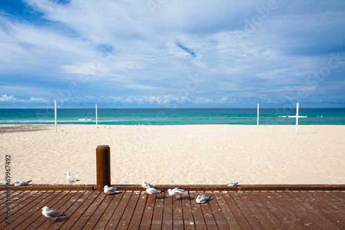 Australia's Gold Coast beach © 孤飞的鹤