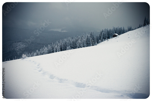 winter © Leonid Tit