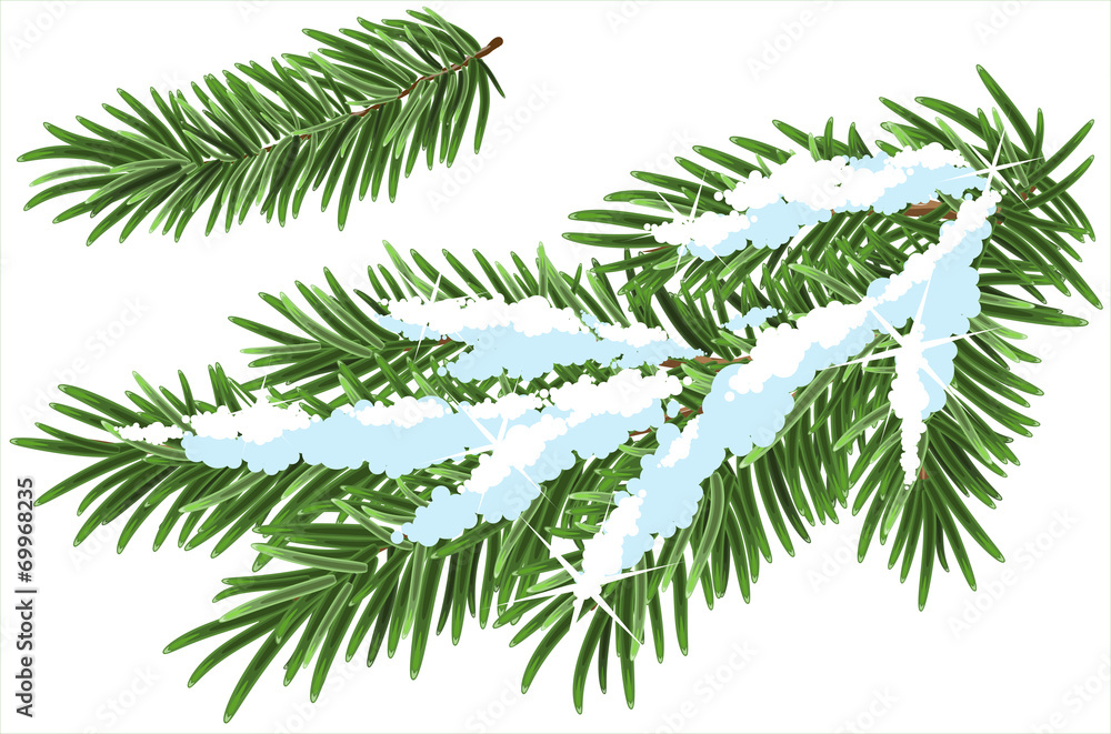 Naklejka premium Fur-tree branch under snow