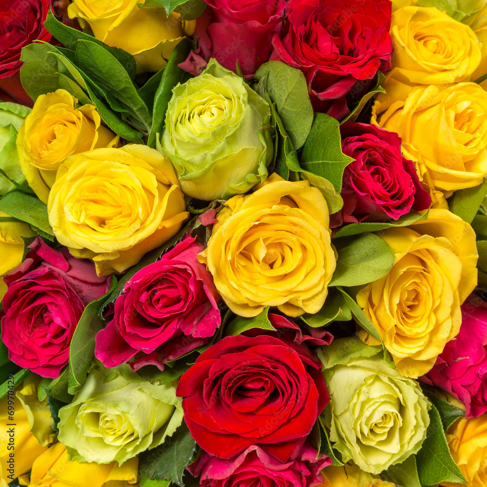 Naklejka premium Abstract background of roses