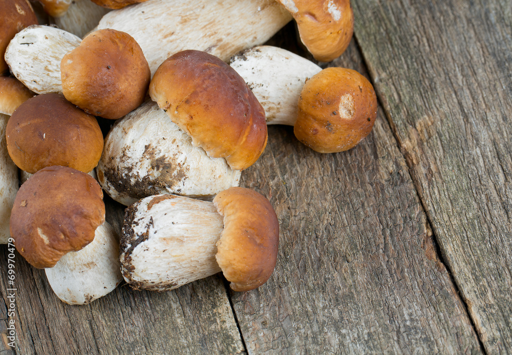 boletus mushrooms on wooden surface boletus mushrooms on wooden surface