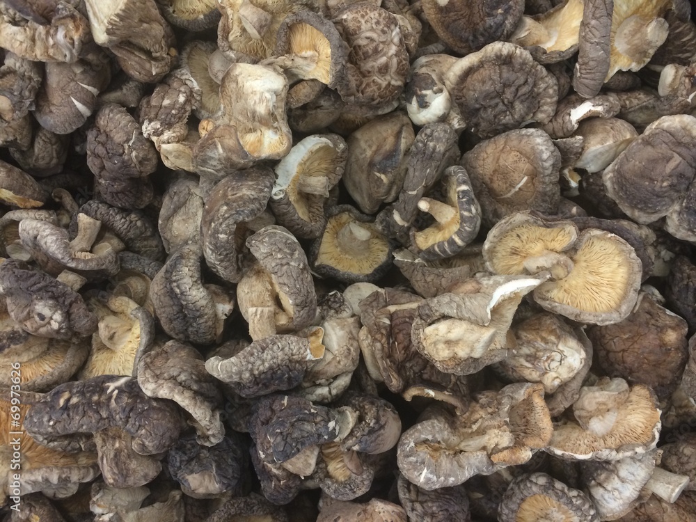 close up of dried shiitake mushrooms food background