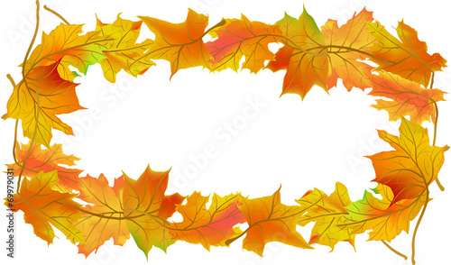 orange autumn maple leaves frame isolated on white