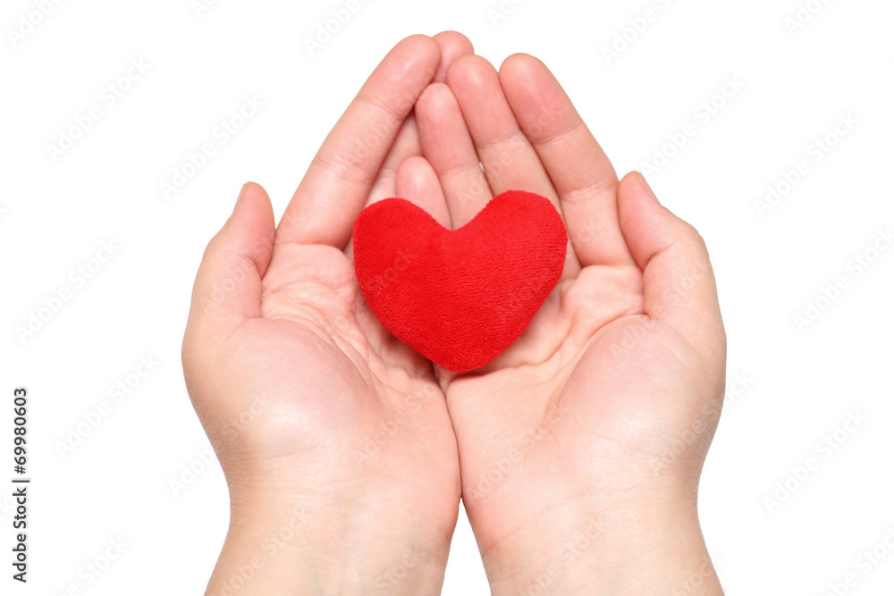 Purple heart in the hands Purple heart in the hands