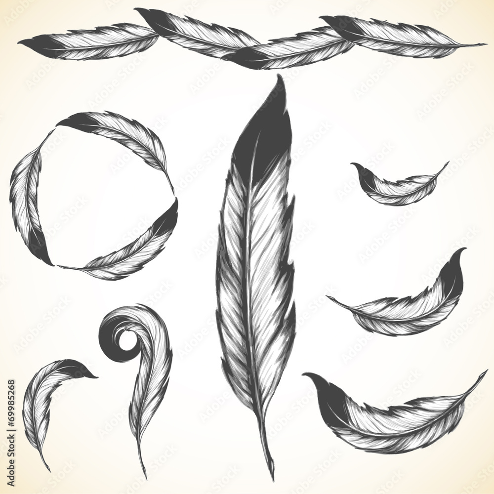 Naklejka premium rdzenny amerykański symbol: przewiewne ptasie pióro