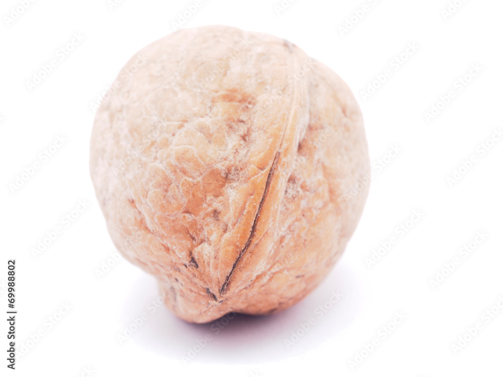 Obraz premium walnut on a white background