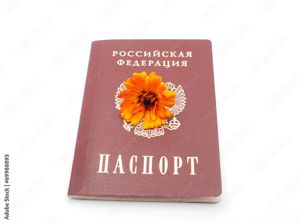 Russian passport and flowers on a white background Russian passport and flowers on a white background