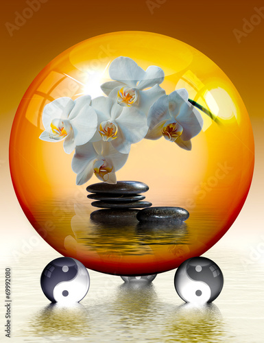 Fototapeta Naklejka Na Ścianę i Meble -  Yin und Yang, Orchideenblüte in magischer Kugel