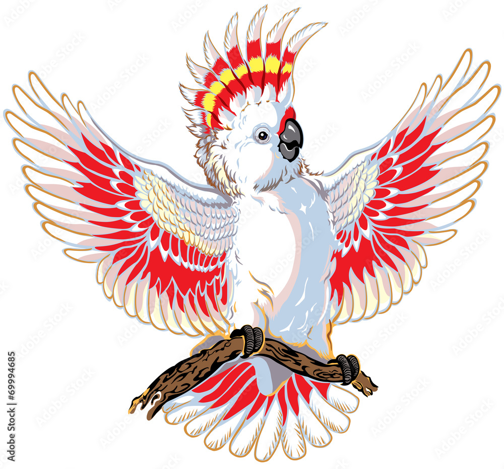 Obraz premium różowe kakadu