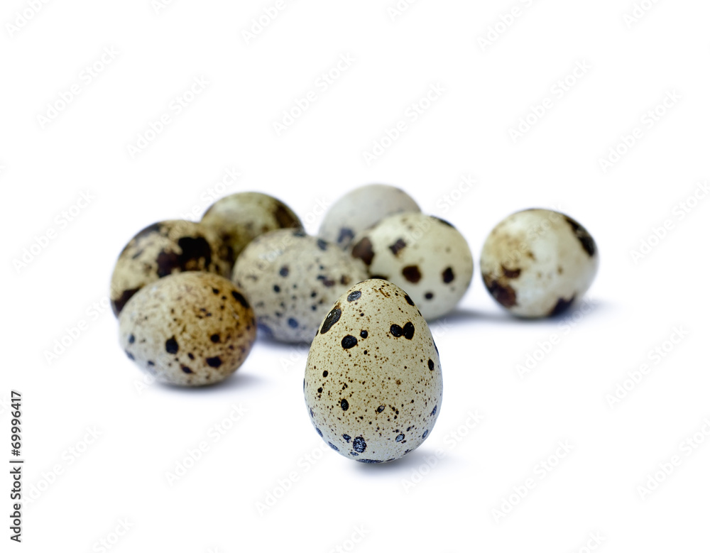 quail eggs on a white background quail eggs on a white background