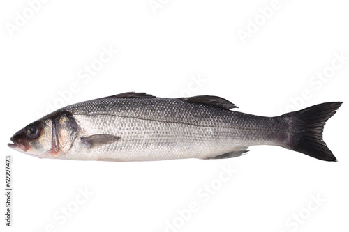 Canvas Print Fresh seabass